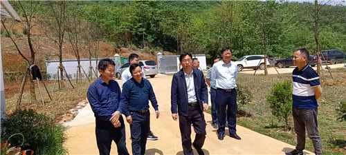 1620289879390212.jpg 49.jpg